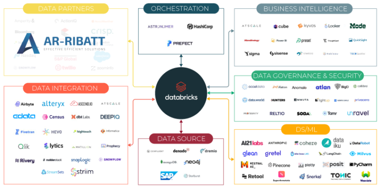 databricks partner